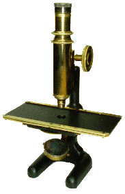Triquinoscopio
