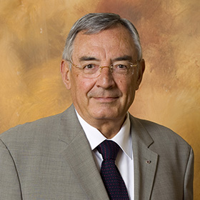 Excmo. Sr. D. Francisco José Rubia Vila