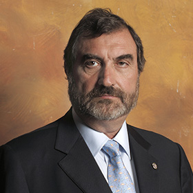 Excmo. Sr. D. José Luis Carreras Delgado