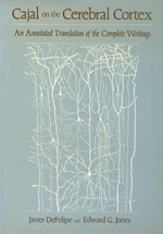 cajal cerebral cortex