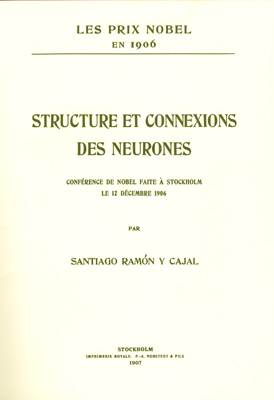 structure et connexions des neurones