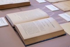 exposicion-gomez-ocana02